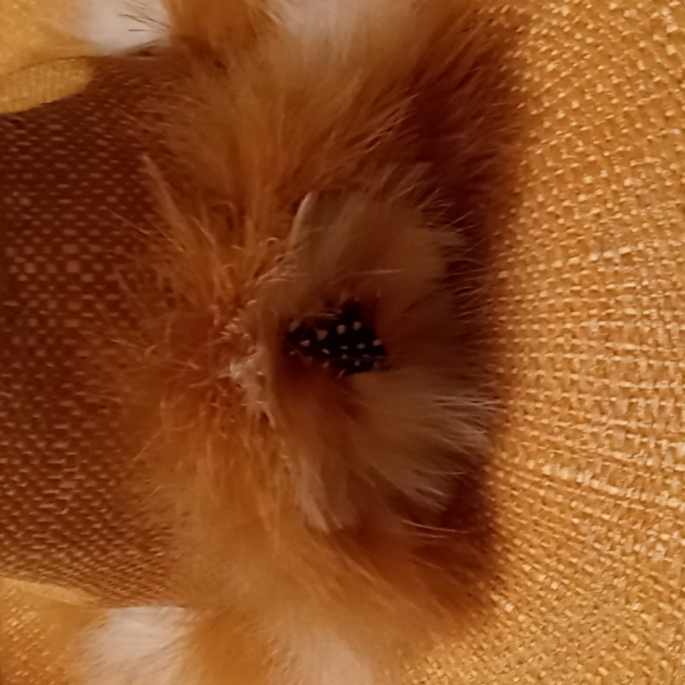 Vintage,Cowboy/Cowgirl Hat from Mexico with Unique Feather Headband - Picture 2 of 11